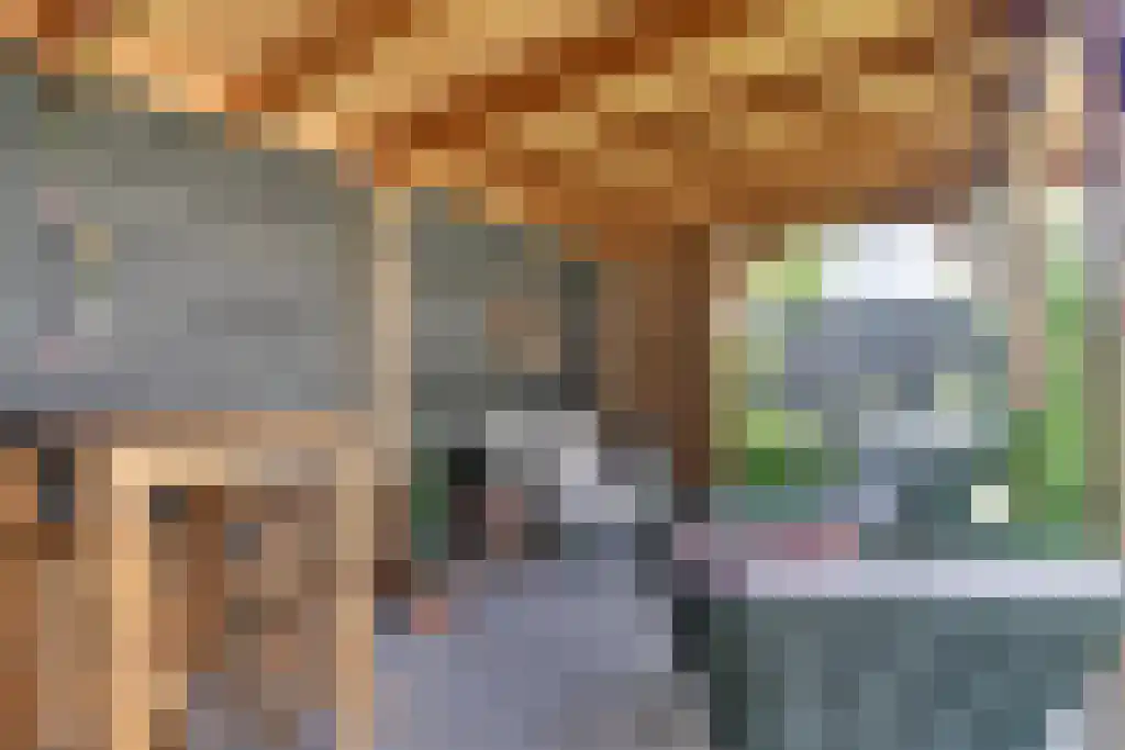Vinkenlande 25 Pijnacker thumbnail 13