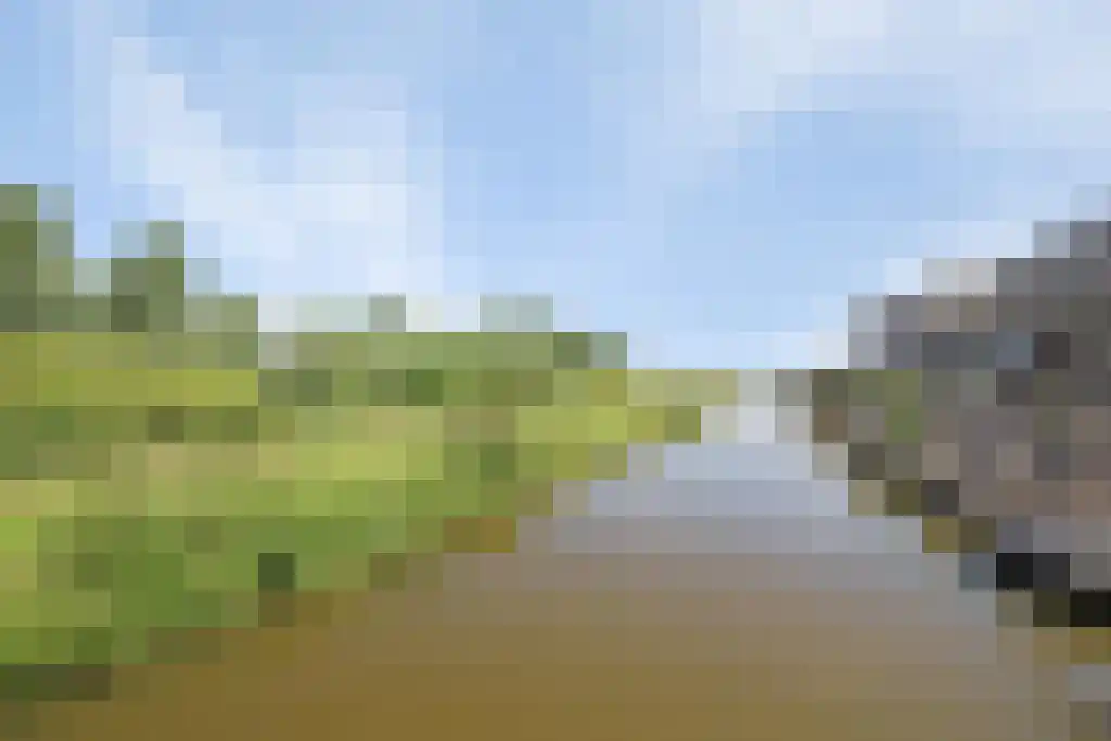 Vinkenlande 25 Pijnacker thumbnail 30