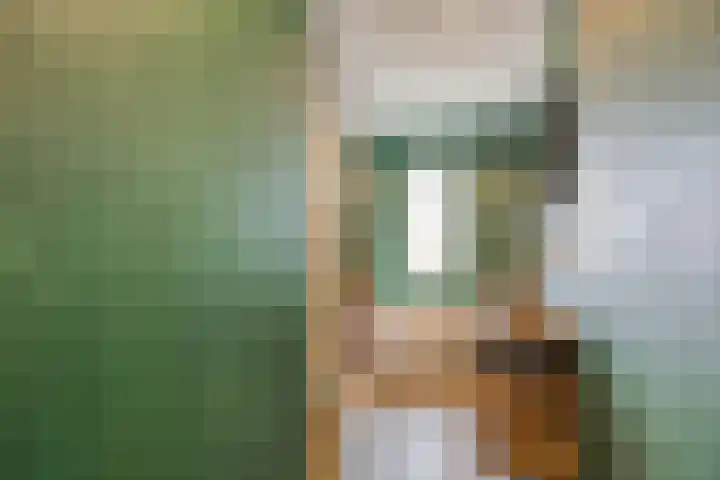 Vinkenlande 26 Pijnacker thumbnail 28