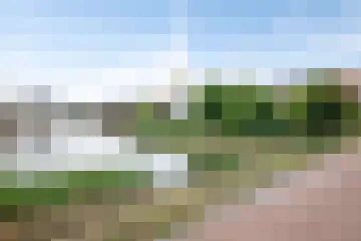 Vinkenlande 26 Pijnacker thumbnail 48