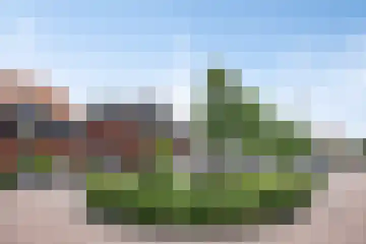 Vinkenlande 26 Pijnacker thumbnail 9