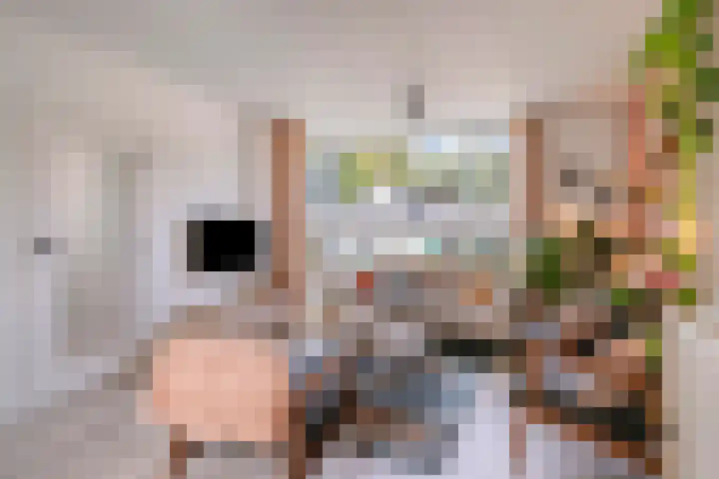 Vinkenpad 10 Andel thumbnail 18