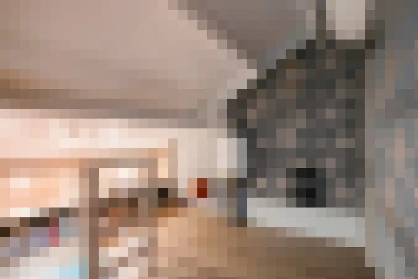 Vinkenpad 10 Andel thumbnail 27