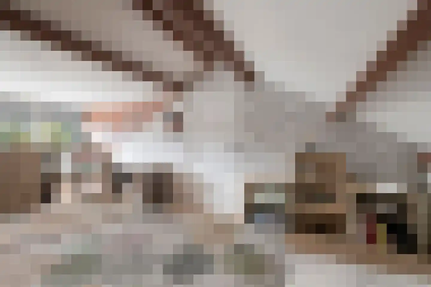 Vinkenpad 10 Andel thumbnail 33