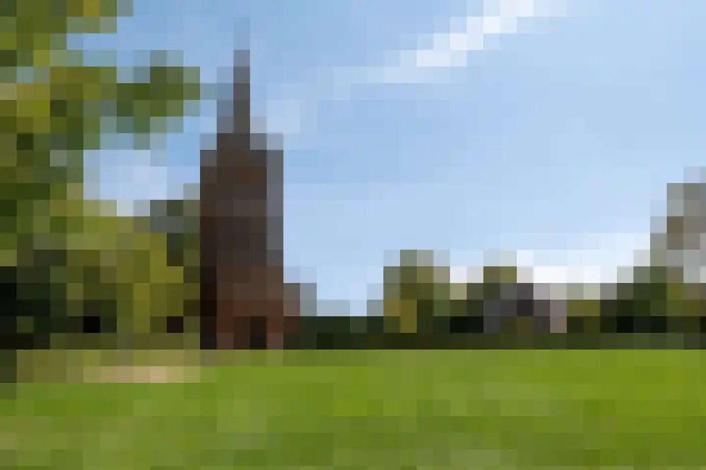Vinkenpad 10 Andel thumbnail 46