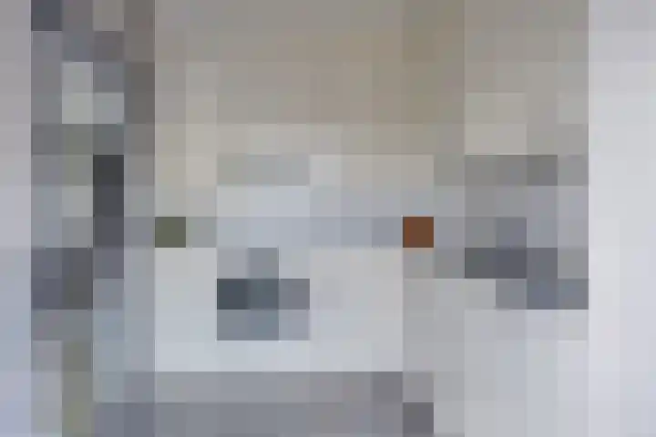 Vinkenpark 9 Dodewaard thumbnail 13