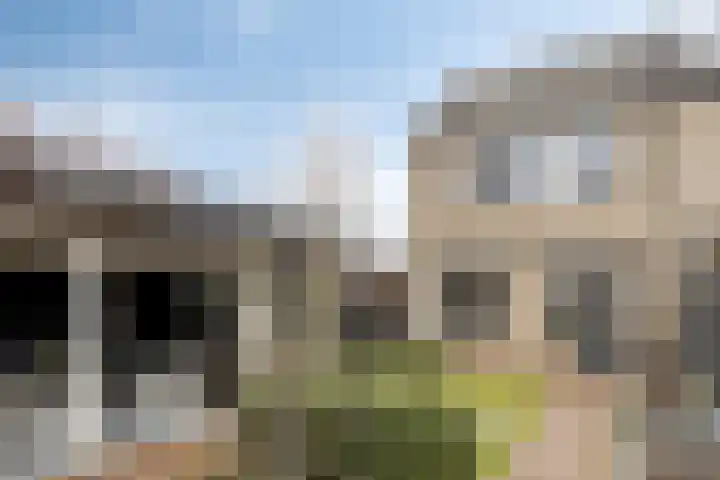 Vinkenpark 9 Dodewaard thumbnail 31