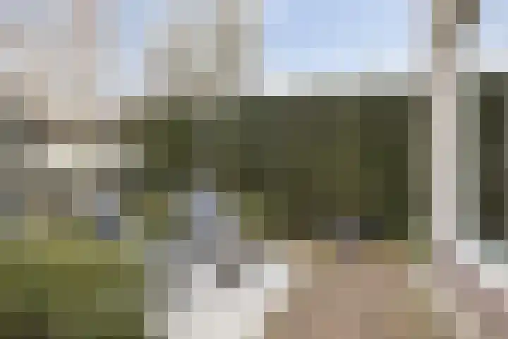 Vinkenpark 9 Dodewaard thumbnail 32