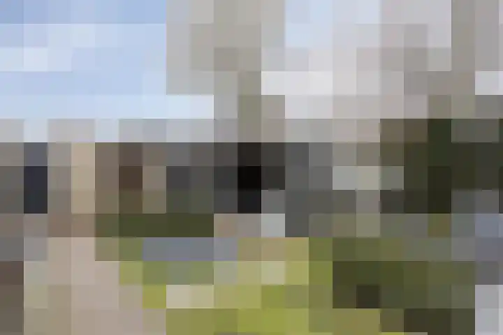 Vinkenpark 9 Dodewaard thumbnail 36