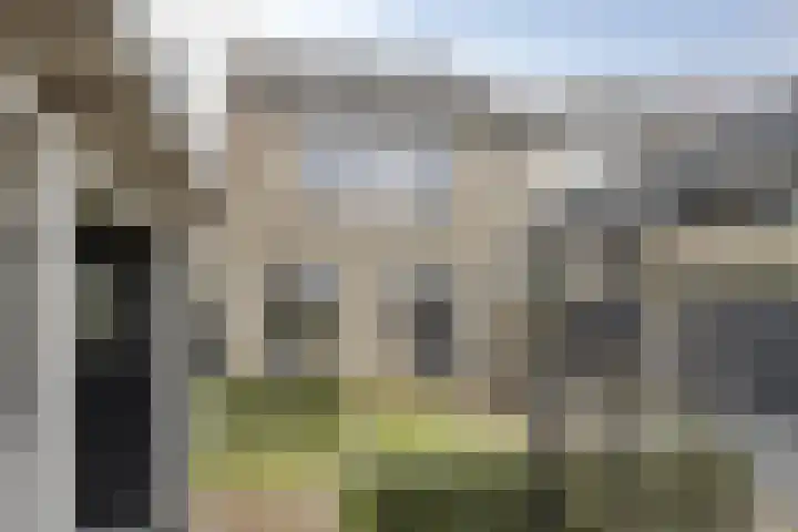 Vinkenpark 9 Dodewaard thumbnail 41