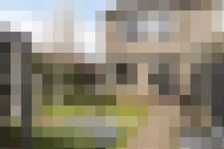 Vinkenpark 9 Dodewaard thumbnail 42