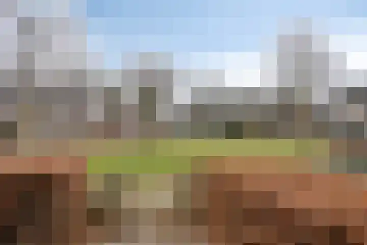 Vinkenpark 9 Dodewaard thumbnail 50