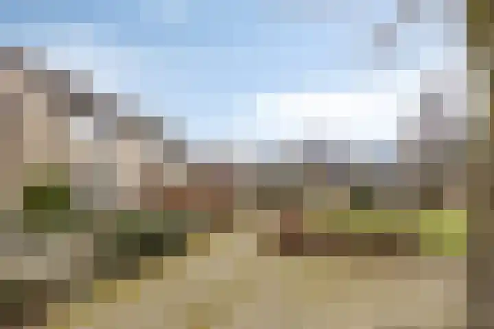 Vinkenpark 9 Dodewaard thumbnail 51