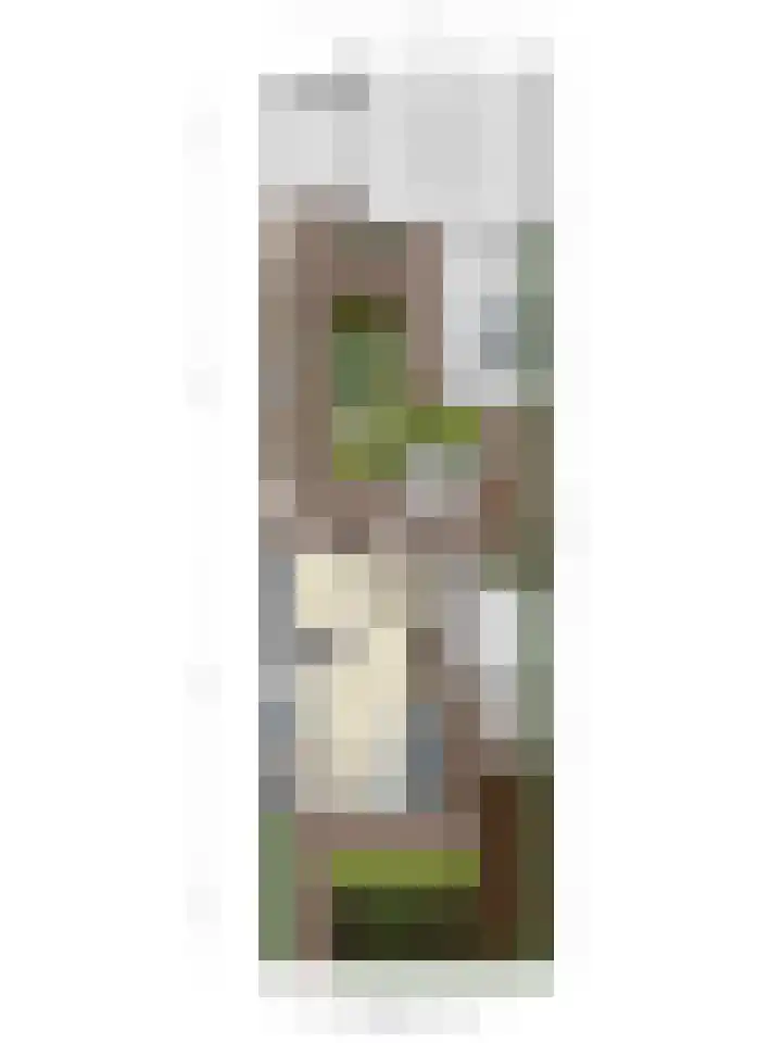 Vinkenpark 9 Dodewaard thumbnail 52