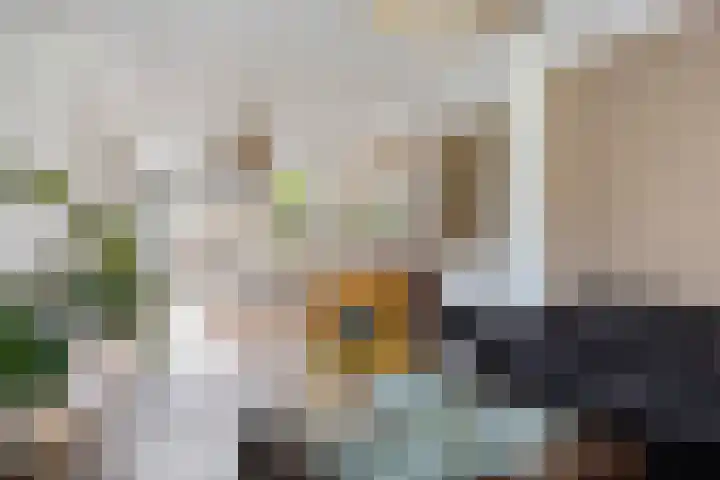 Vinkenplein 5 Beek en Donk thumbnail 11