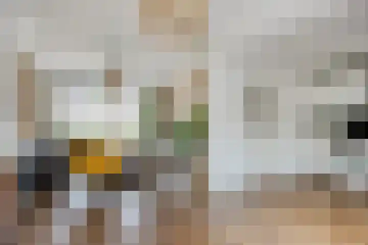Vinkenplein 5 Beek en Donk thumbnail 12