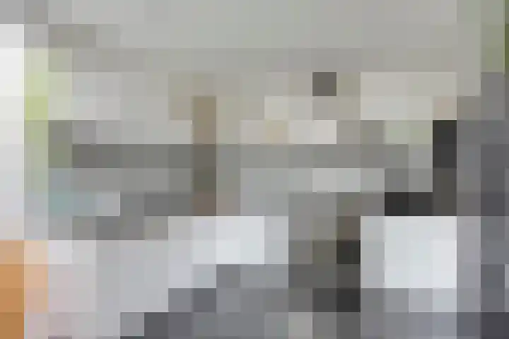 Vinkenplein 5 Beek en Donk thumbnail 15