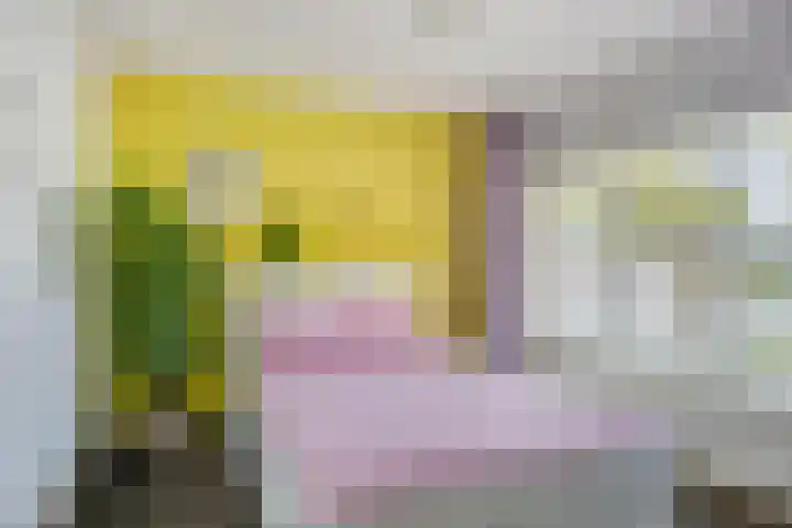 Vinkenplein 5 Beek en Donk thumbnail 21