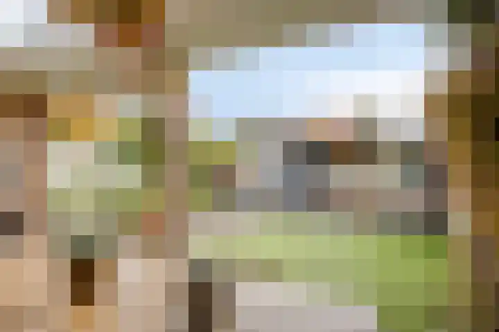 Vinkenplein 5 Beek en Donk thumbnail 29