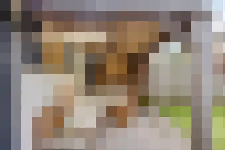 Vinkenplein 5 Beek en Donk thumbnail 31