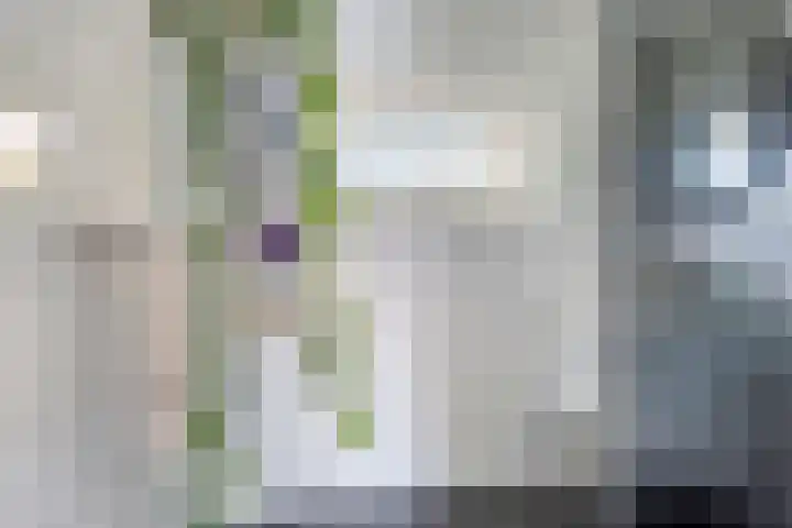 Vinkenplein 5 Beek en Donk thumbnail 5