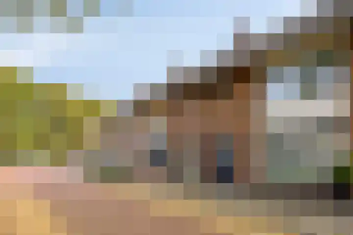 Vinkenplein 5 Beek en Donk thumbnail 7