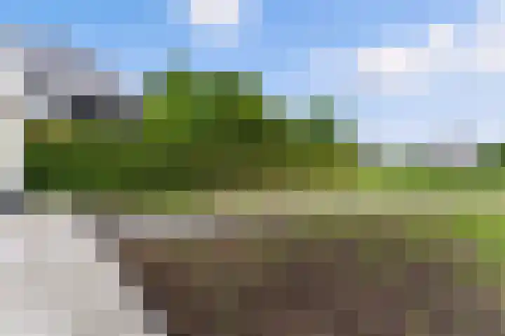 Vinkenpolderweg 38 Alblasserdam thumbnail 36