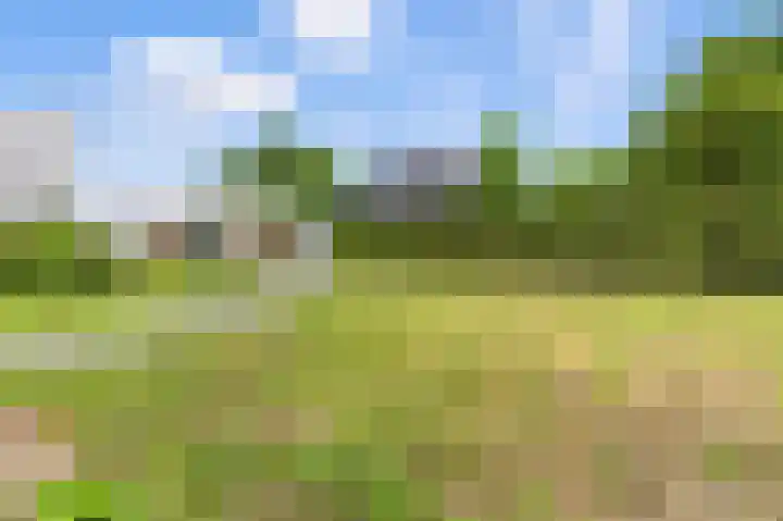 Vinkenpolderweg 38 Alblasserdam thumbnail 38