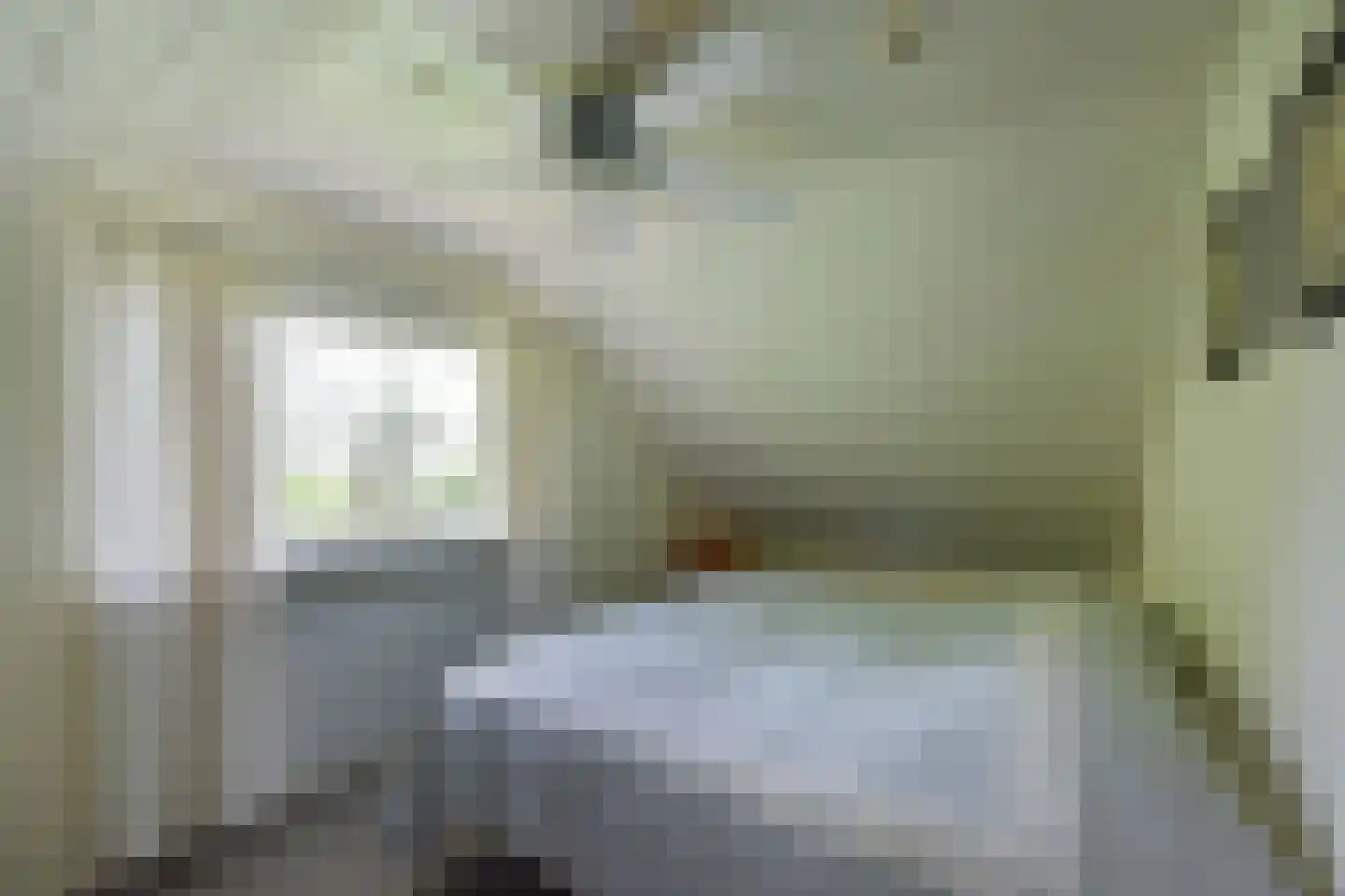 Vinkenslag 12 de Hoef thumbnail 31