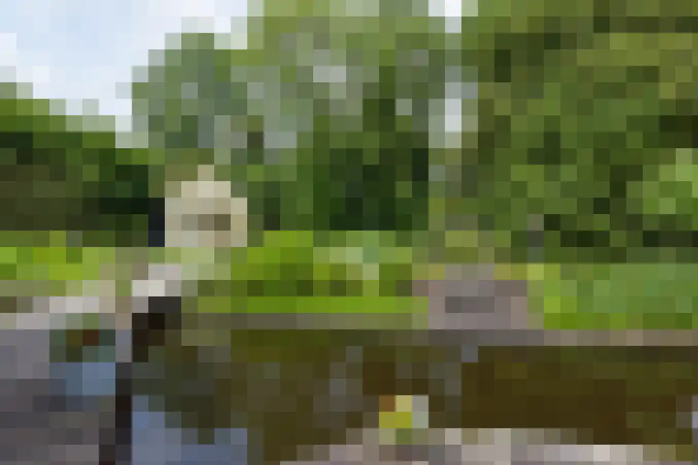 Vinkenslag 12 de Hoef thumbnail 41