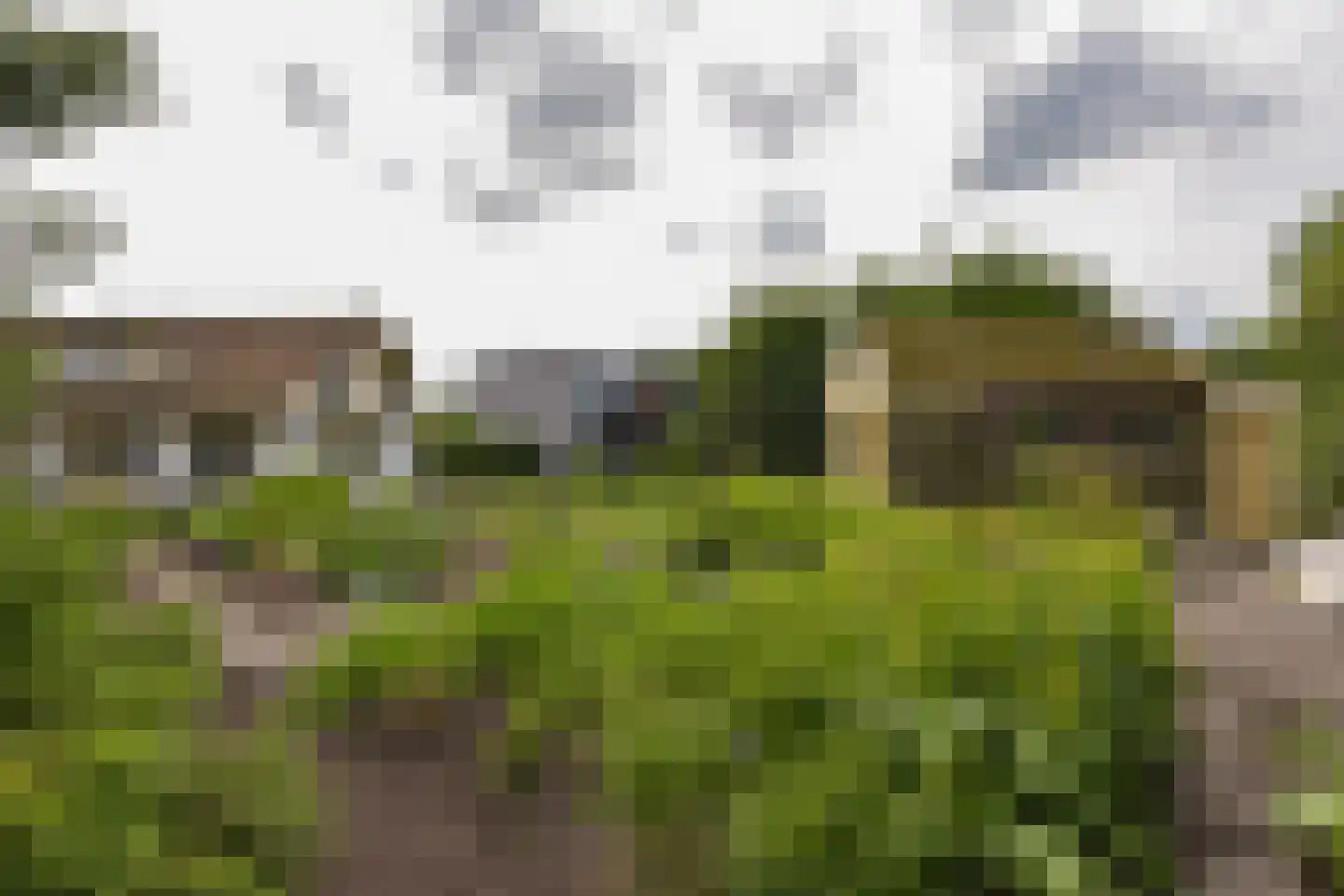 Vinkenslag 12 de Hoef thumbnail 46