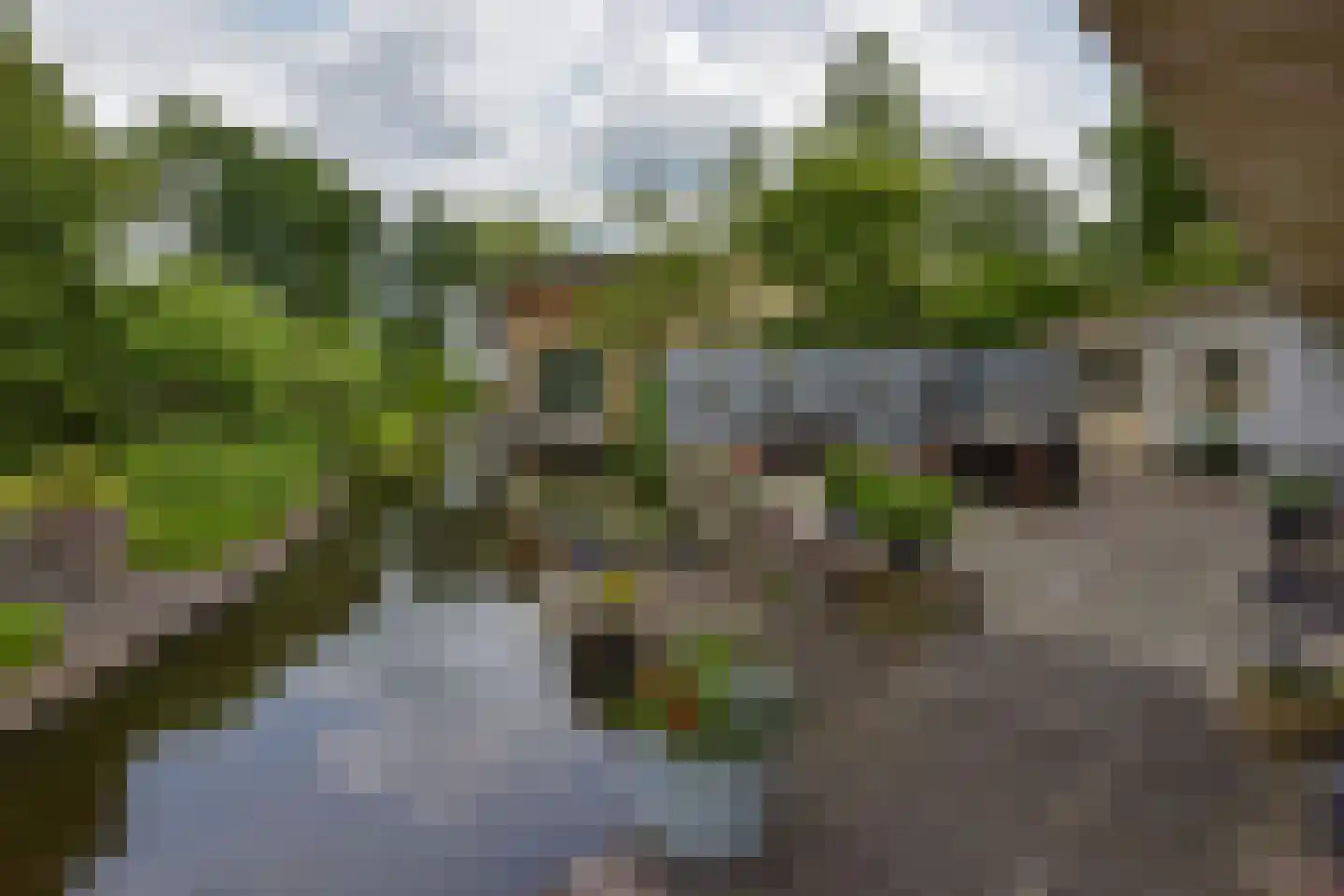 Vinkenslag 12 de Hoef thumbnail 47