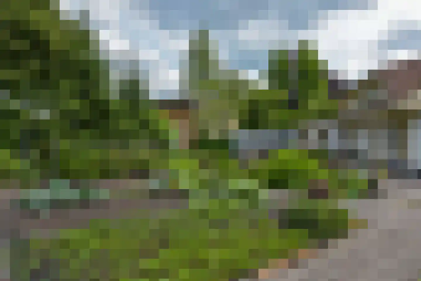 Vinkenslag 12 de Hoef thumbnail 48