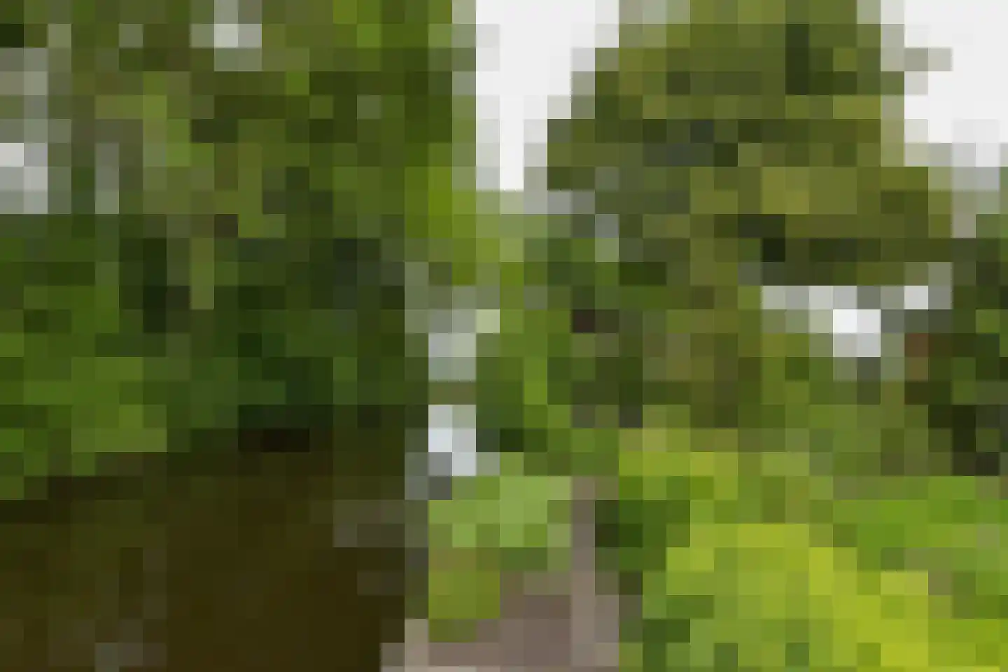 Vinkenslag 12 de Hoef thumbnail 49