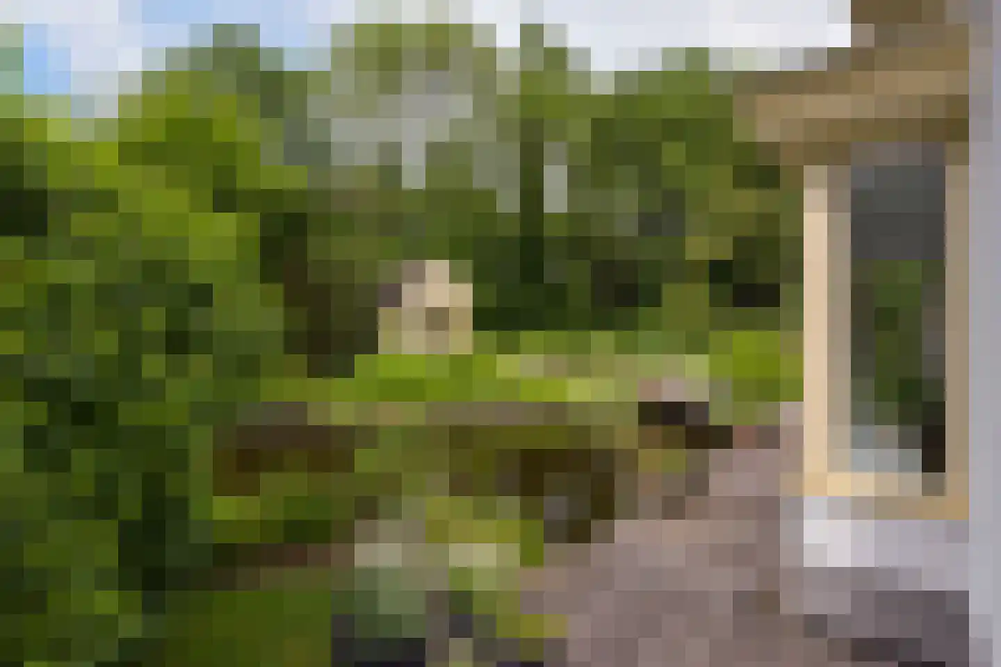 Vinkenslag 12 de Hoef thumbnail 50