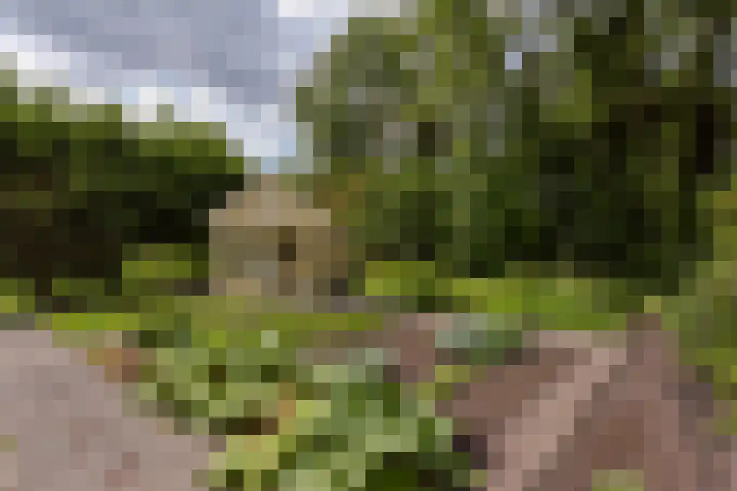 Vinkenslag 12 de Hoef thumbnail 51