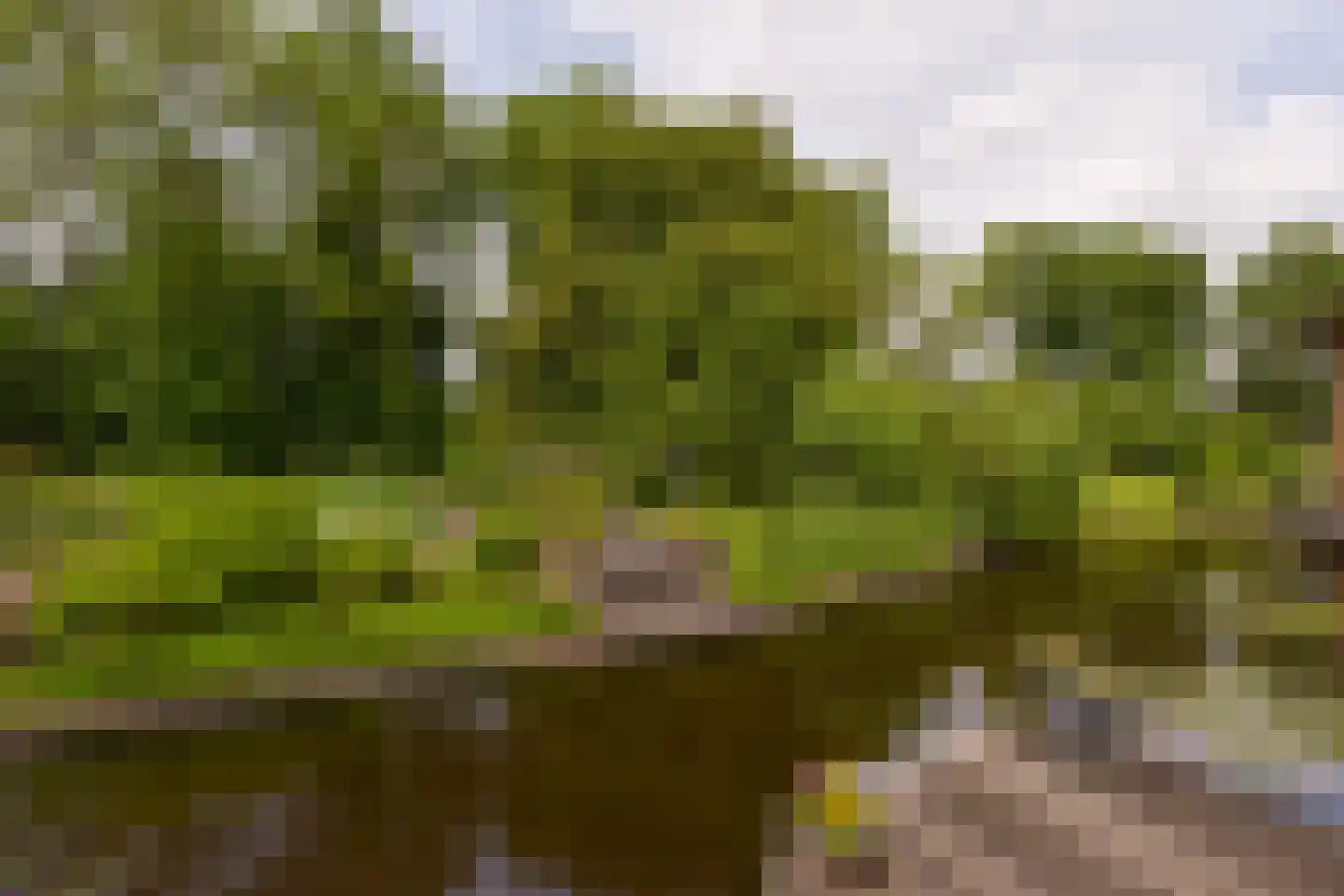 Vinkenslag 12 de Hoef thumbnail 52
