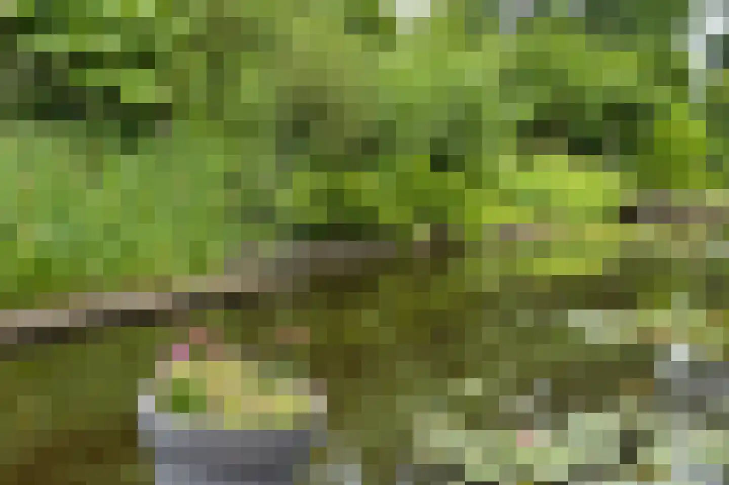 Vinkenslag 12 de Hoef thumbnail 56