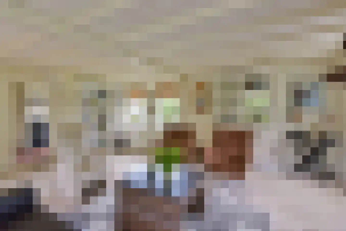 Vinkenslag 12 de Hoef thumbnail 6