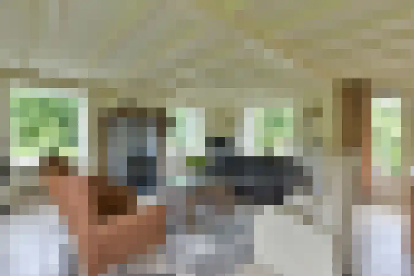 Vinkenslag 12 de Hoef thumbnail 7