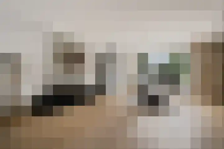 Vinkenslag 12 Woensdrecht thumbnail 11