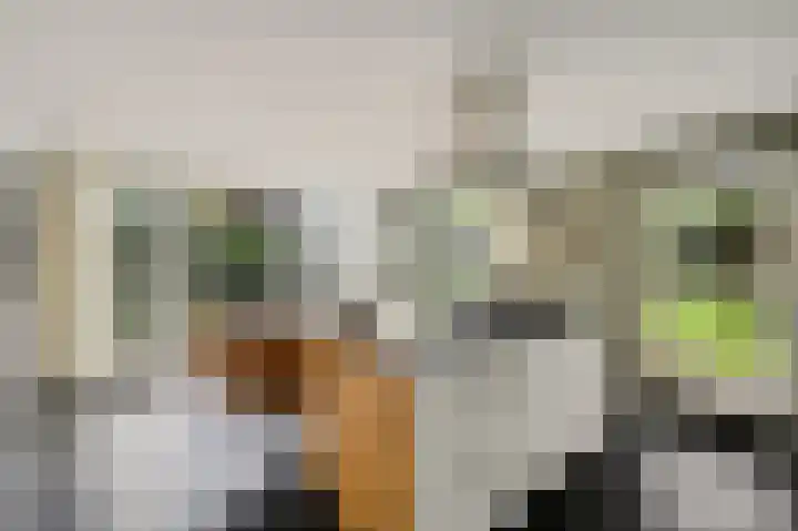 Vinkenslag 12 Woensdrecht thumbnail 15
