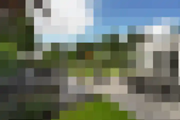 Vinkenslag 12 Woensdrecht thumbnail 28