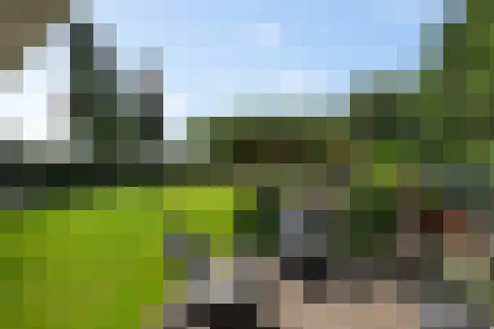 Vinkenslag 12 Woensdrecht thumbnail 29