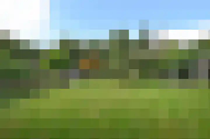 Vinkenslag 12 Woensdrecht thumbnail 30