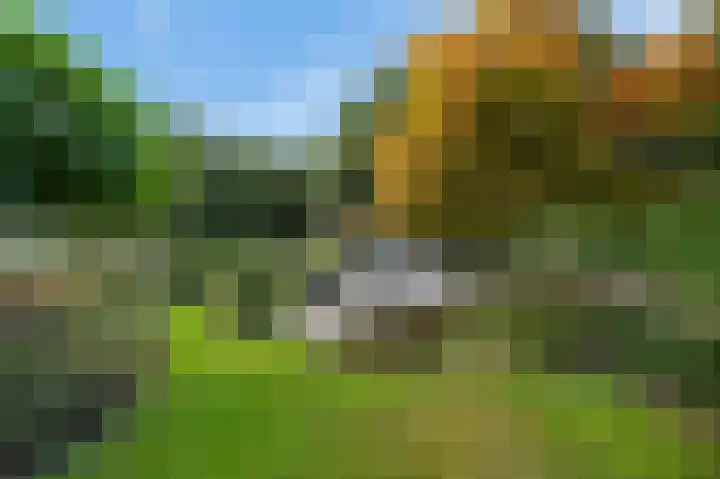 Vinkenslag 12 Woensdrecht thumbnail 31