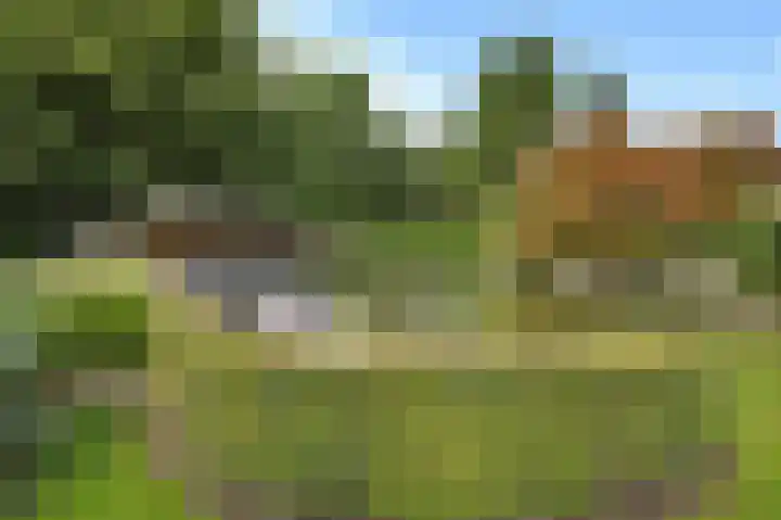 Vinkenslag 12 Woensdrecht thumbnail 32