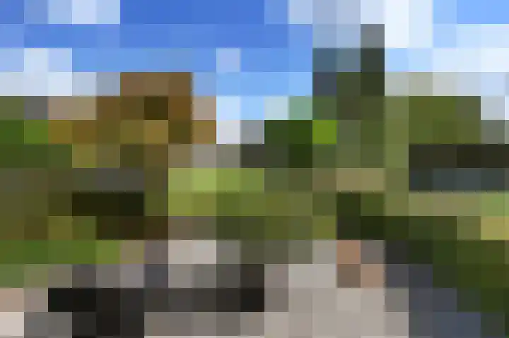 Vinkenslag 12 Woensdrecht thumbnail 33