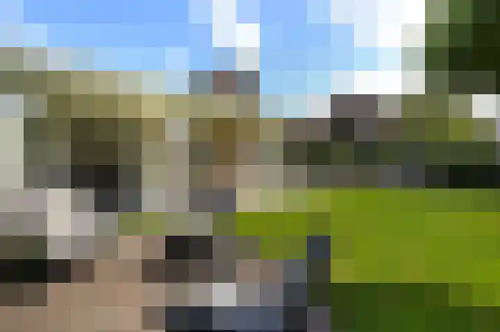 Vinkenslag 12 Woensdrecht thumbnail 35
