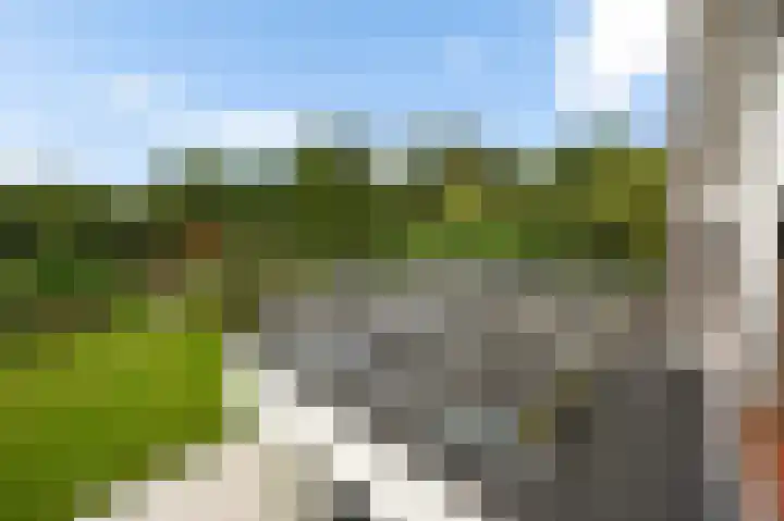 Vinkenslag 12 Woensdrecht thumbnail 36